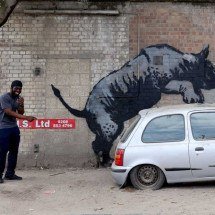 Grafiteiro Banksy solta os bichos pelas ruas de Londres - Adrian Dennis/AFP