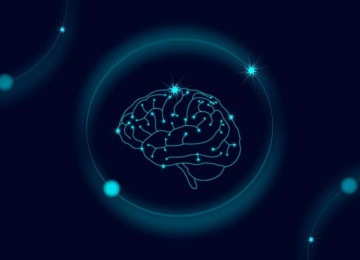 Imagem de um cérebro, apresentando pontos de conexão, lembra importância da neurociências para incrementar o desenvolvimento da aprendizagem -  (crédito: Freepik)