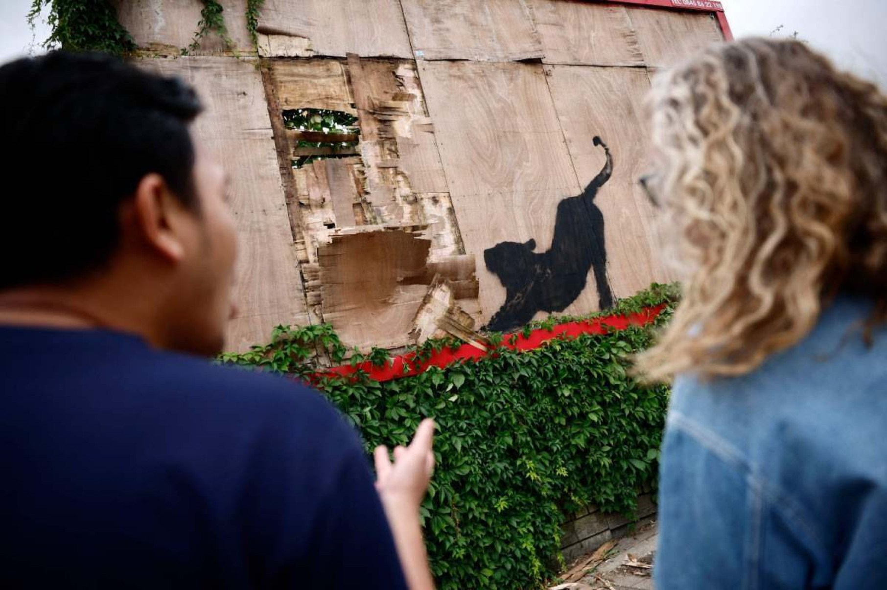 Grafite do artista Banksy mostra gato espreguiçando em tapume em Londres