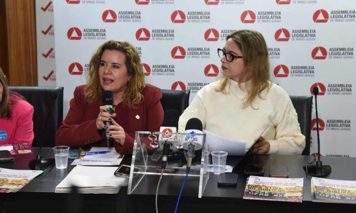 Sandra Goulart Almeida e Beatriz Cerqueira (PT-MG) apresentaram resultados de visitas técnicas -  (crédito: Gladyston Rodrigues/EM/D.A. Press)