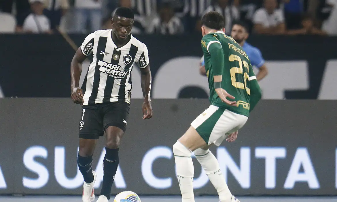 Botafogo recebe Palmeiras no primeiro jogo das oitavas da Libertadores -  (crédito: EBC)