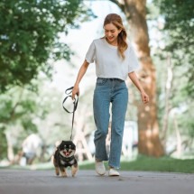 Passear com os cachorros é primordial para manter a sua saúde (Imagem: oatawa | Shutterstock)  -  (crédito: EdiCase)