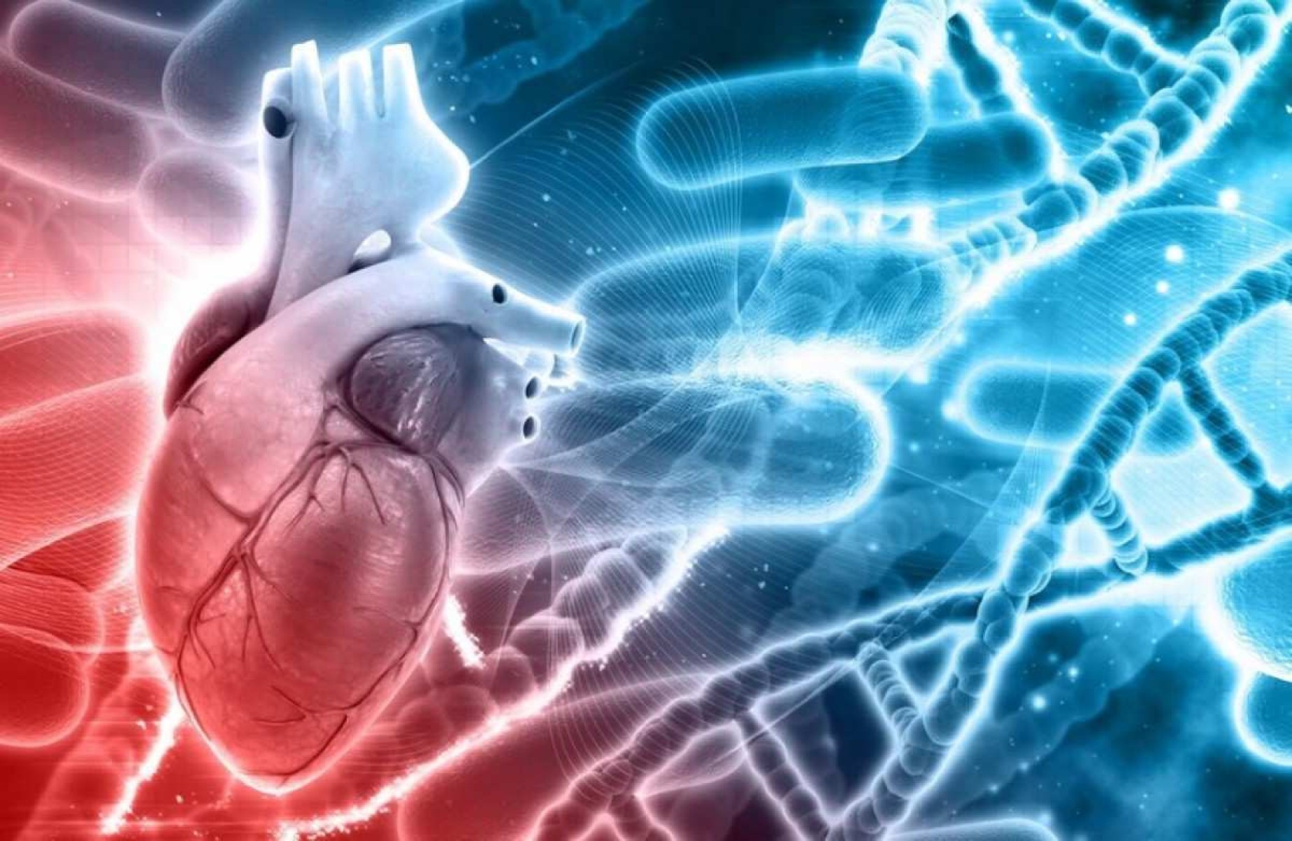 Evento debate novos marcadores de cardiotoxicidade no tratamento oncológico