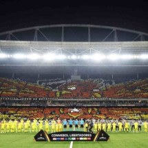 Mosaico da torcida do Botafogo -  (crédito: Vitor Silva/Botafogo)