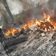 Avião com capacidade para 7 pessoas cai em Mato Grosso - Reprodução/Redes sociais