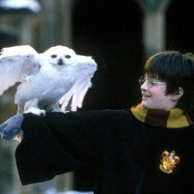 ‘Harry Potter’ volta aos cinemas com maratona 20 anos depois da estreia -  REUTERS