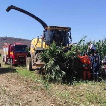 Trabalhador rural perde as duas pernas ao ficar preso em colheitadeira  - CBMMG