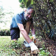 Dacildo Rodrigues LIMPA OS CANTEIROS E REALIZA A poda Das plantas com zelo para que tudo fique bonito e saudável