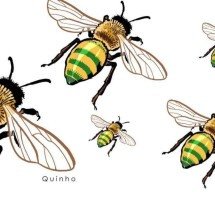Crimes, castigos e as abelhas democráticas - Quinho