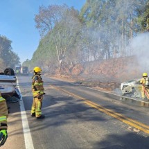 Batida seguida de incêndio mata cachorro em rodovia de Minas - CBMMG