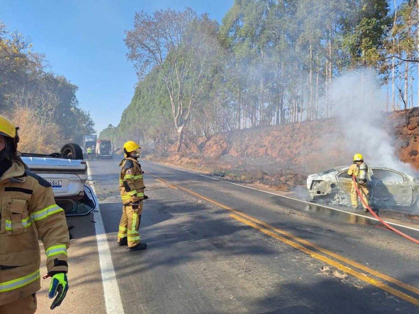 Batida seguida de incêndio mata cachorro em rodovia de Minas