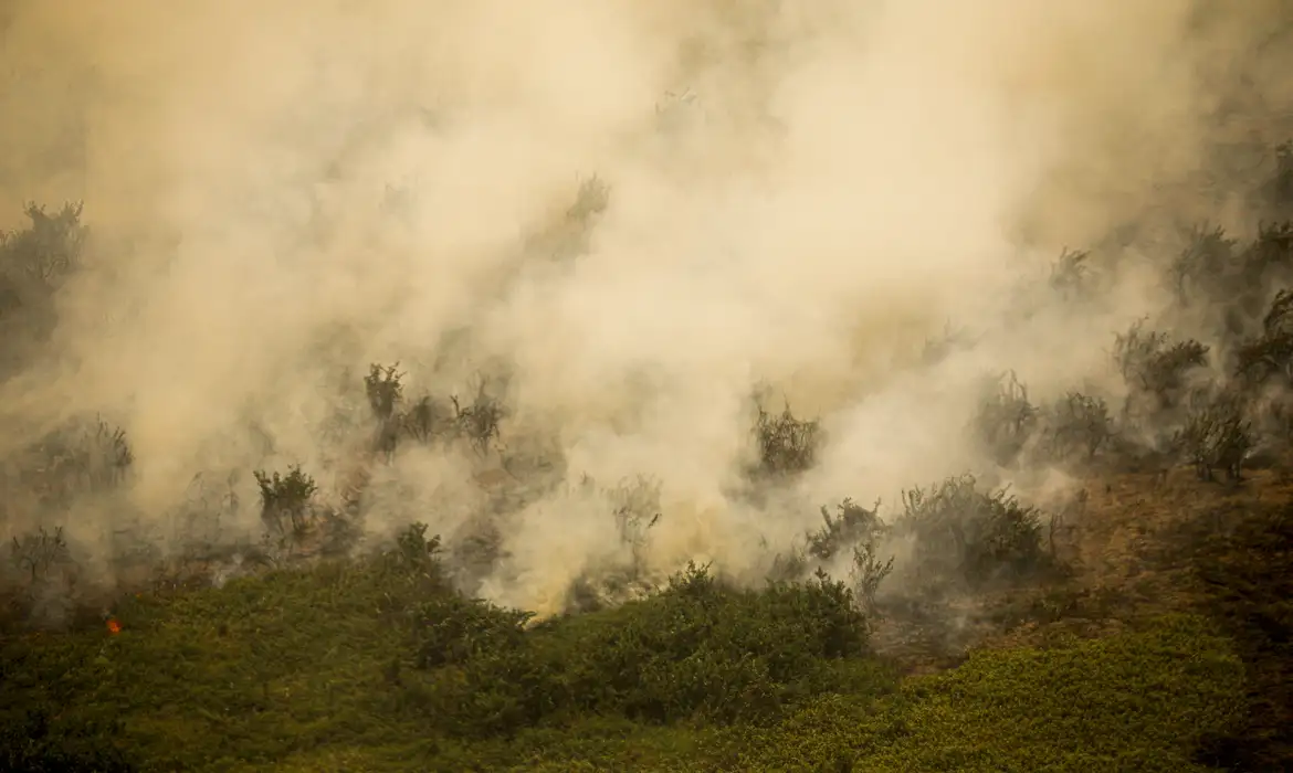 Defesa Civil de SP emite alerta para risco de incêndios florestais -  (crédito: EBC)