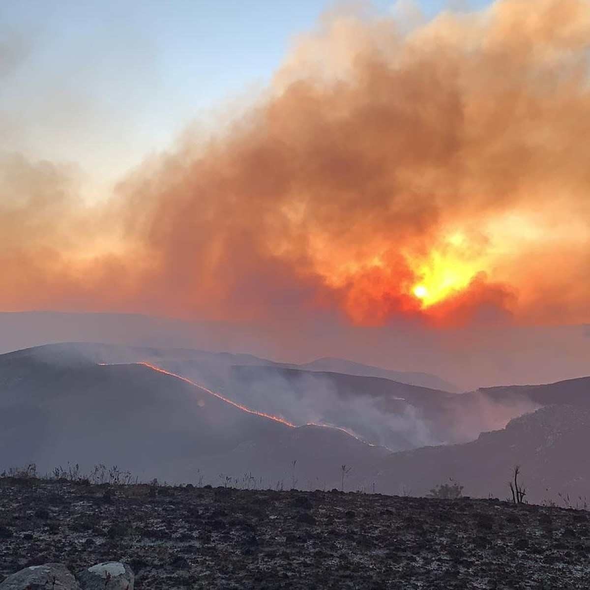 Bombeiros combatem incêndios em 7 unidades de preservação em Minas Gerais