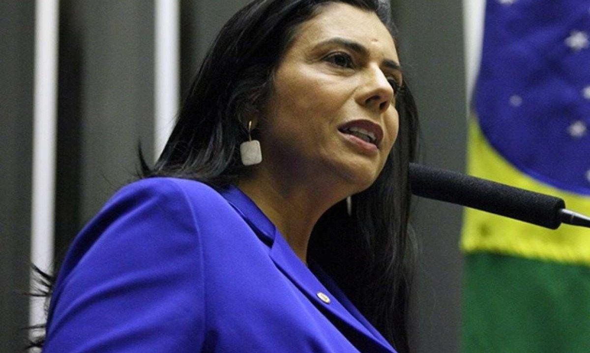 MPMG pede impugnação do registro da candidatura da deputada federal Ione Barbosa (Avante) à Prefeitura de Juiz de Fora -  (crédito: Câmara dos Deputados)