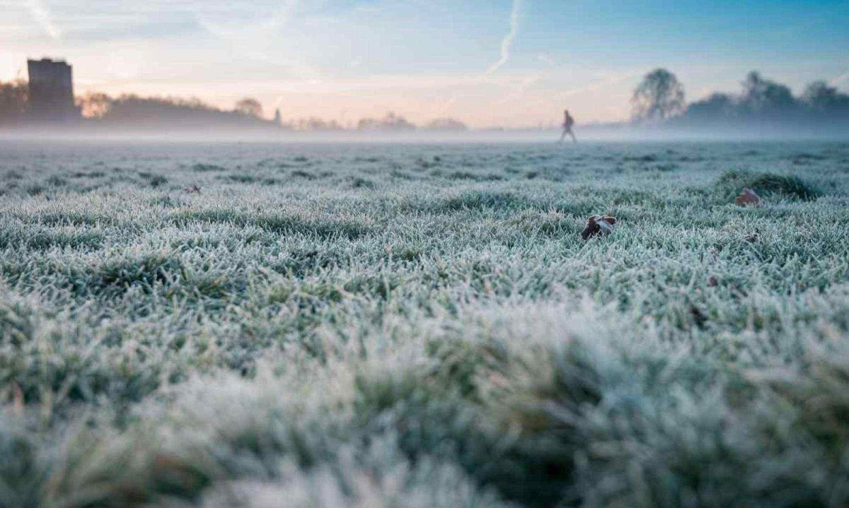 No Sul do país, o MetSul indica que algumas cidades devem ter marcas perto ou abaixo de 0°C -  (crédito: Reprodução / Freepik)