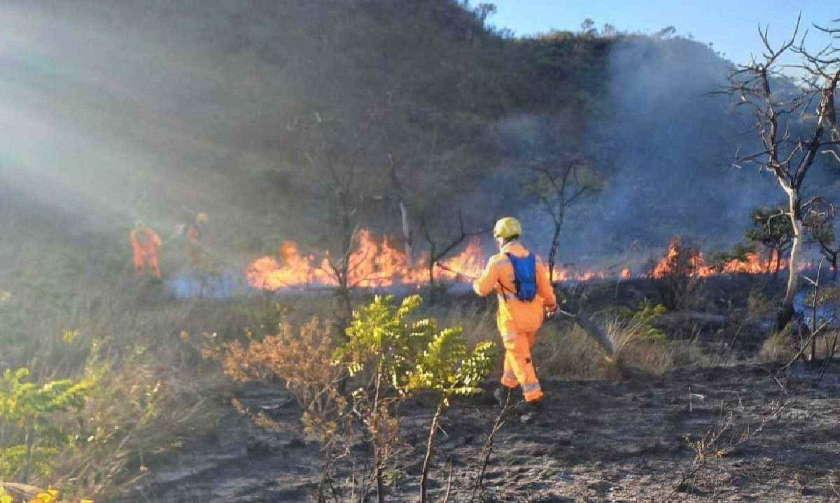 CBMMG combate inc&ecirc;ndio na Serra do cip&oacute; pelo terceiro dia consecutivo -  (crédito: Divulga&ccedil;&atilde;o/CBMMG)