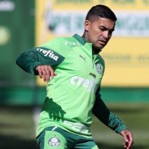 Dudu segue em tratamento e desfalca o Palmeiras -  (crédito: Foto: Cesar Greco/Palmeiras)