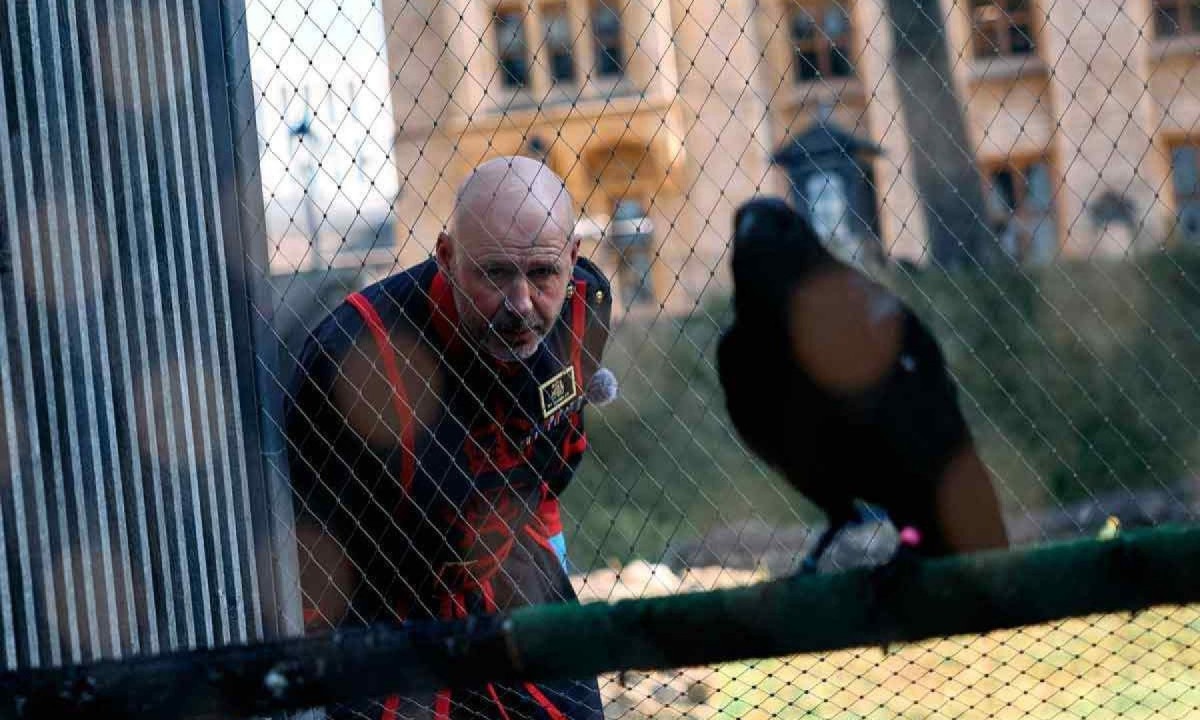 Michael Chandler, que participou de  missões no Iraque e no afeganistão, lidera
uma equipe de quatro homens encarregados de alimentar, cuidar e vigiar os pássaros da Torre -  (crédito: BENJAMIN CREMEL/AFP)