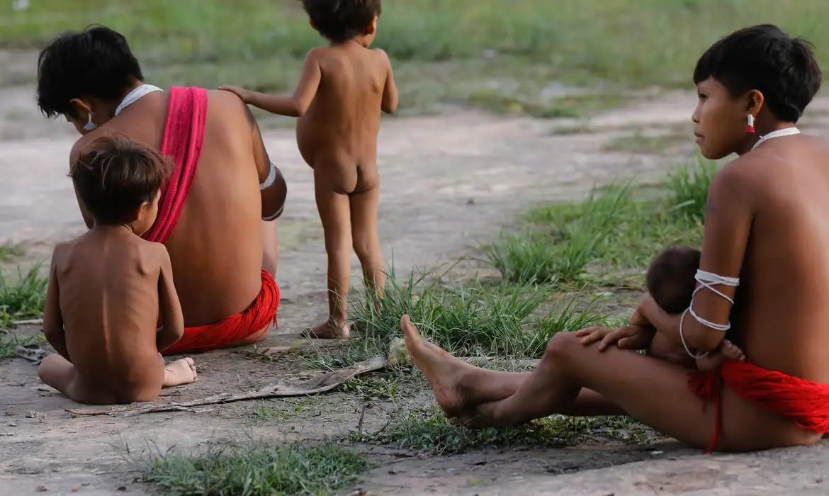 Terra Yanomami terá R$ 32 milhões para investimento em educação  -  (crédito: EBC)