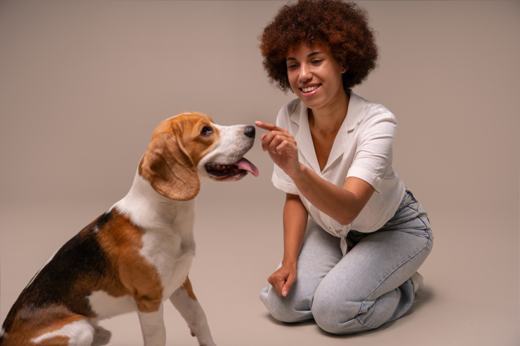 Importância da informação técnica na escolha do primeiro Pet -  (crédito: DINO)