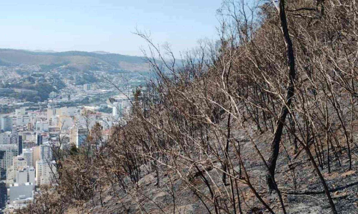 Mais de 27 mil litros de água já foram gastos durante os trabalhos, que começaram na noite terça-feira (20/8) -  (crédito: Corpo de Bombeiros)