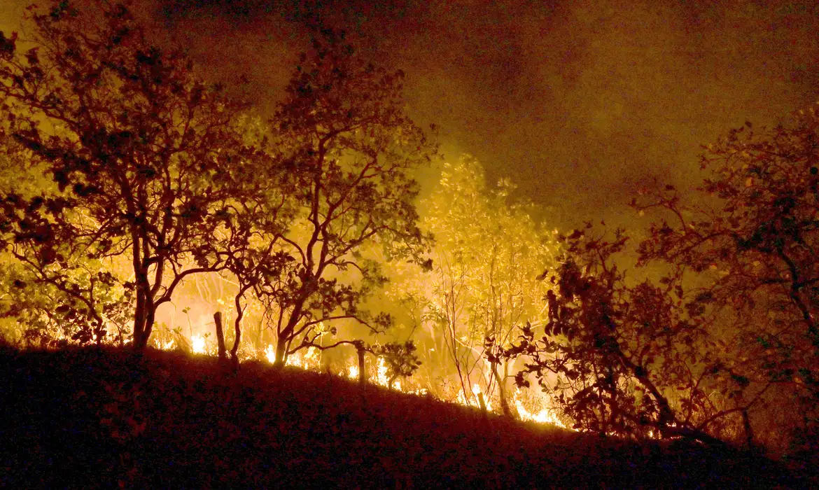 Incêndios: governo vai concentrar ações em 21 municípios da Amazônia -  (crédito: EBC)