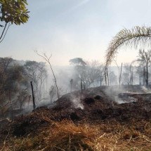 Incêndio atinge 10 mil metros quadrados de parque em Belo Horizonte - Crédito/FPMZB