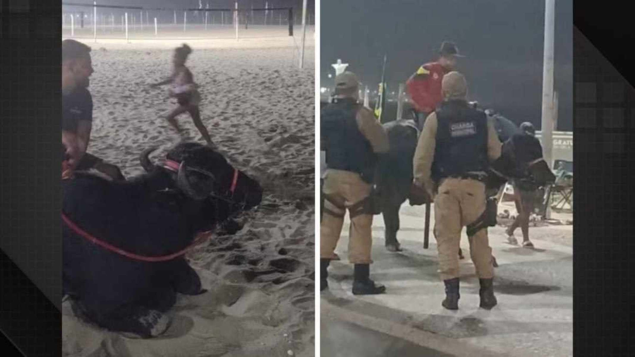 Vídeo: homem passeia com búfalo na praia e surpreende banhistas 