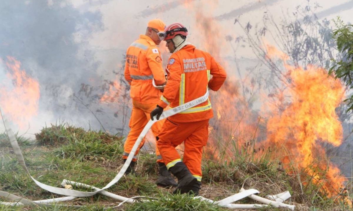 Força-tarefa do Corpo de Bombeiros é voltada para o combate a incêndios em unidades de preservação ambiental -  (crédito: Edésio Ferreira/EM/D.A Press)