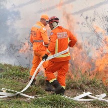 MG: incêndios aumentam 50% desde janeiro e batem recorde dos últimos 5 anos - Edésio Ferreira/EM/D.A Press