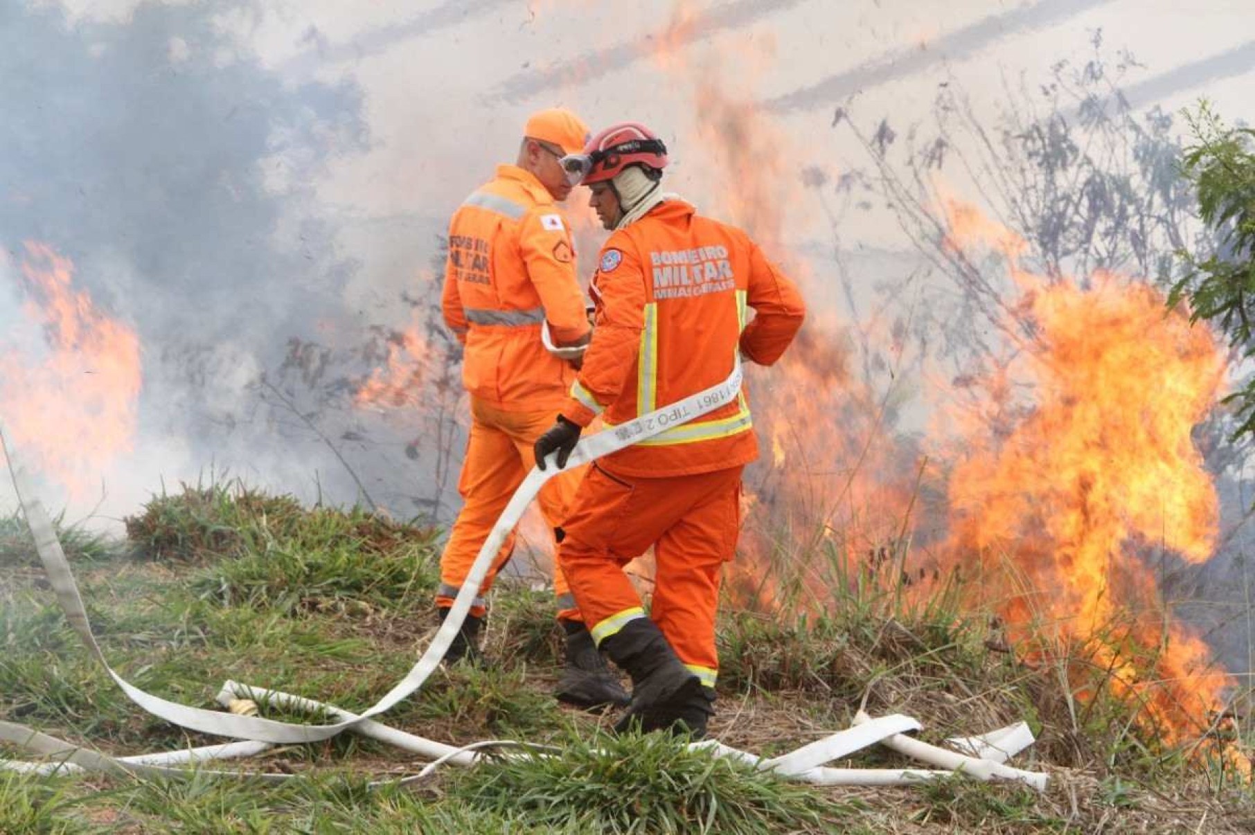 MG: incêndios aumentam 50% desde janeiro e batem recorde dos últimos 5 anos