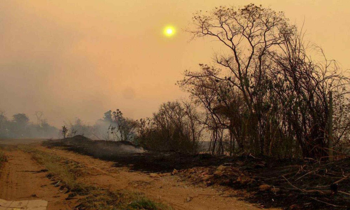 Imagem de drone mostra Ribeirão Preto coberta por fumaça proveniente de incêndios -  (crédito: Joel Silva/Reuters)