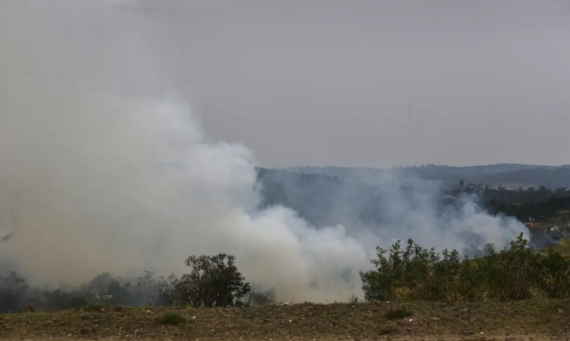 Dois são presos por suspeita de incêndios criminosos em São Paulo -  (crédito: EBC - Geral)