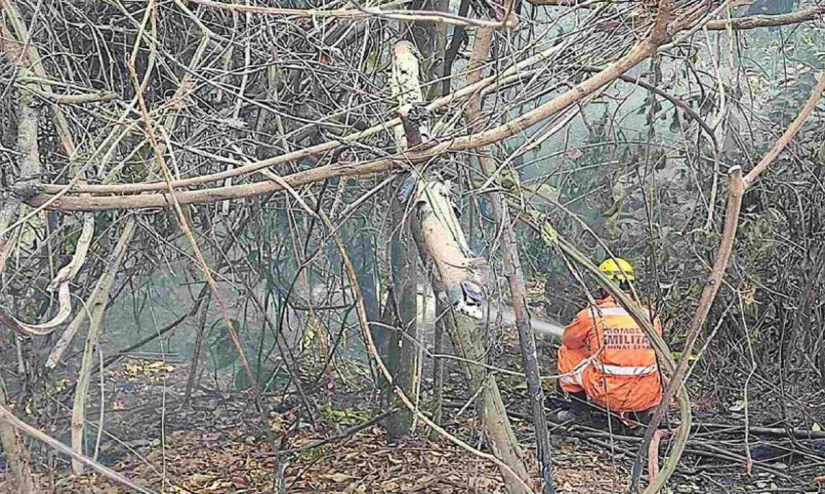 Bombeiros combatem incêndios florestais em seis pontos de Minas Gerais -  (crédito: CBMMG)