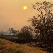 Incêndios: qualidade do ar é considerada insalubre em 8 estados e no DF - Joel Silva/Reuters