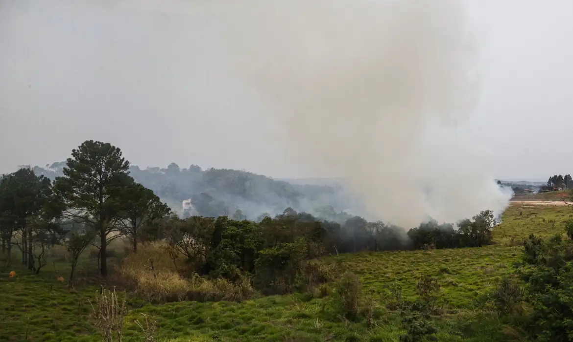 Com 46 cidades em alerta, SP reforça ações para combate aos incêndios -  (crédito: EBC)