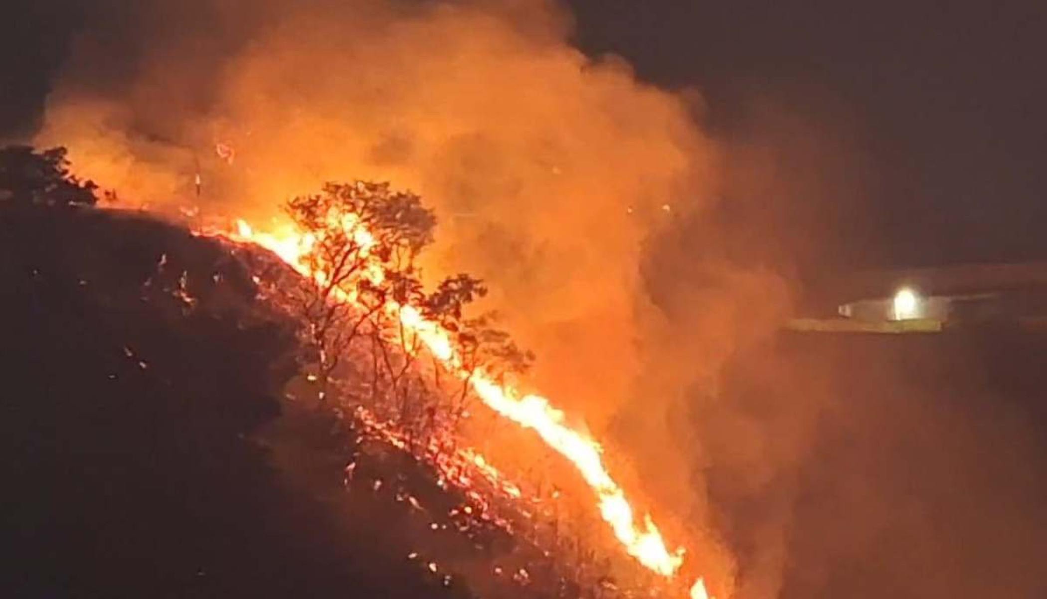 Vídeo: incêndio atinge vegetação na Raja Gabaglia e há risco para casas