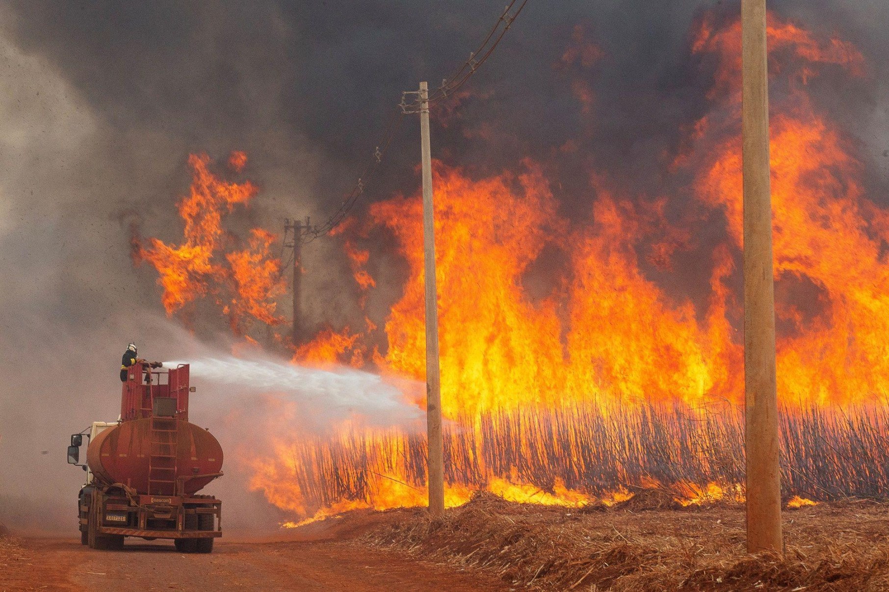 Por que governo suspeita que incêndios em SP são criminosos?