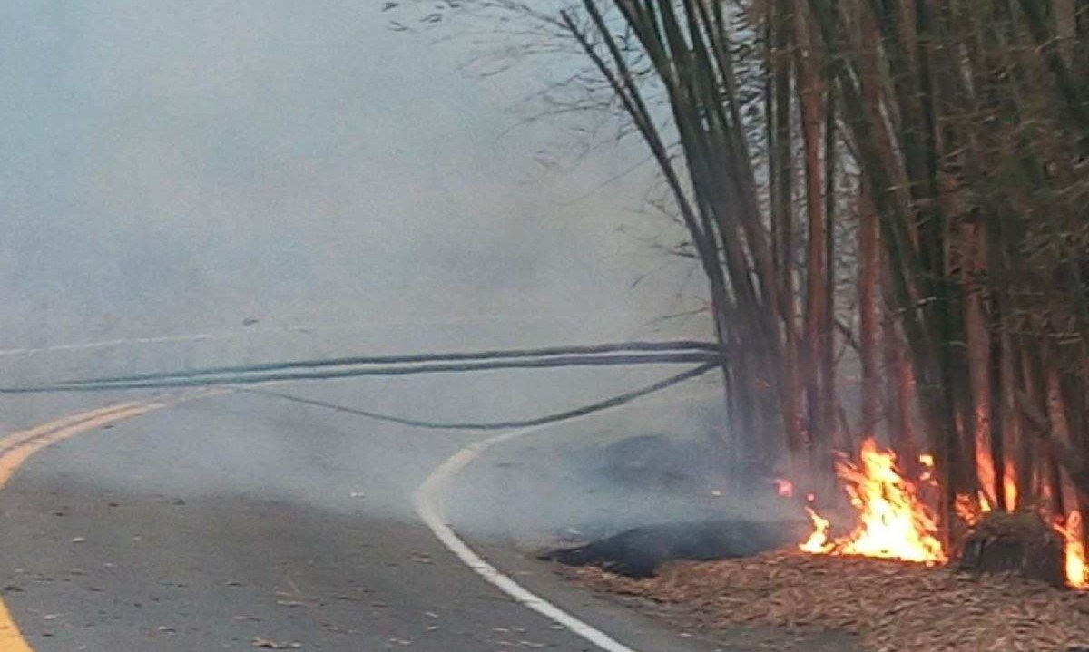 O fogo foi ateado às margens de rodovia na Zona da Mata -  (crédito: Divulgação / Policia Militar Rodoviária de Minas Gerais)