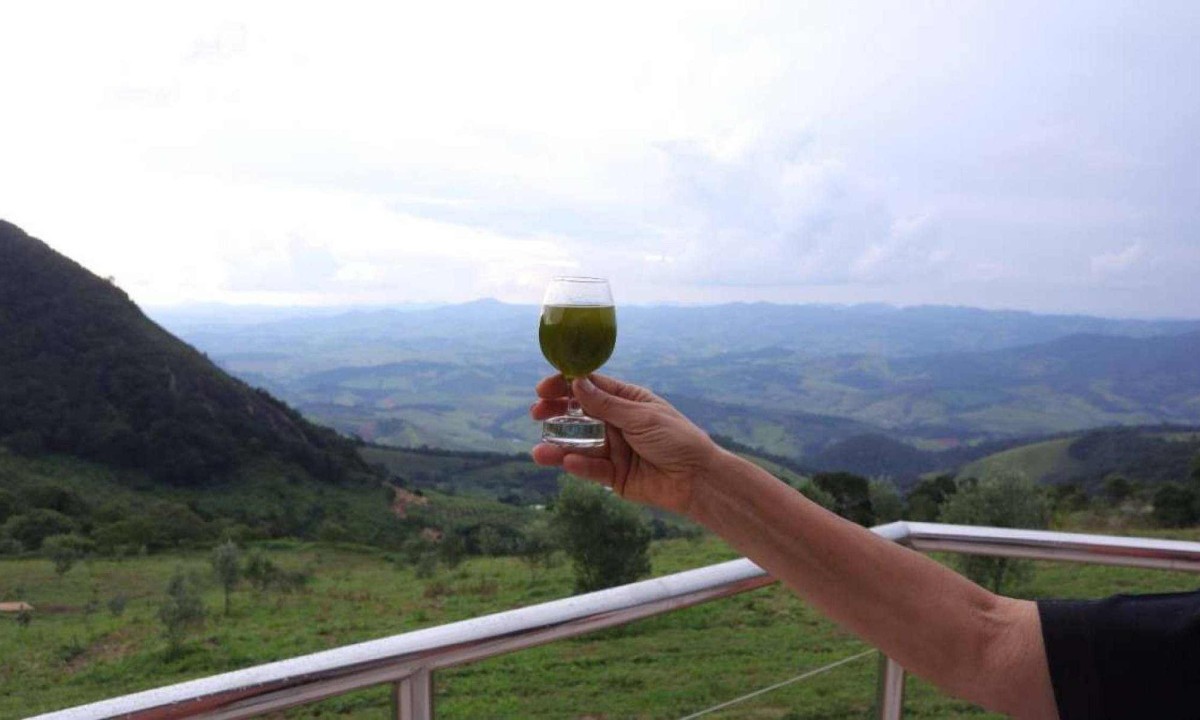 As oliveiras plantadas na fazenda onde se produz o Azeite Monasto 'ouvem' canções eruditas e gospel