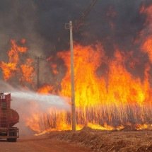 Por que governo suspeita que incêndios em SP são criminosos? - Reuters