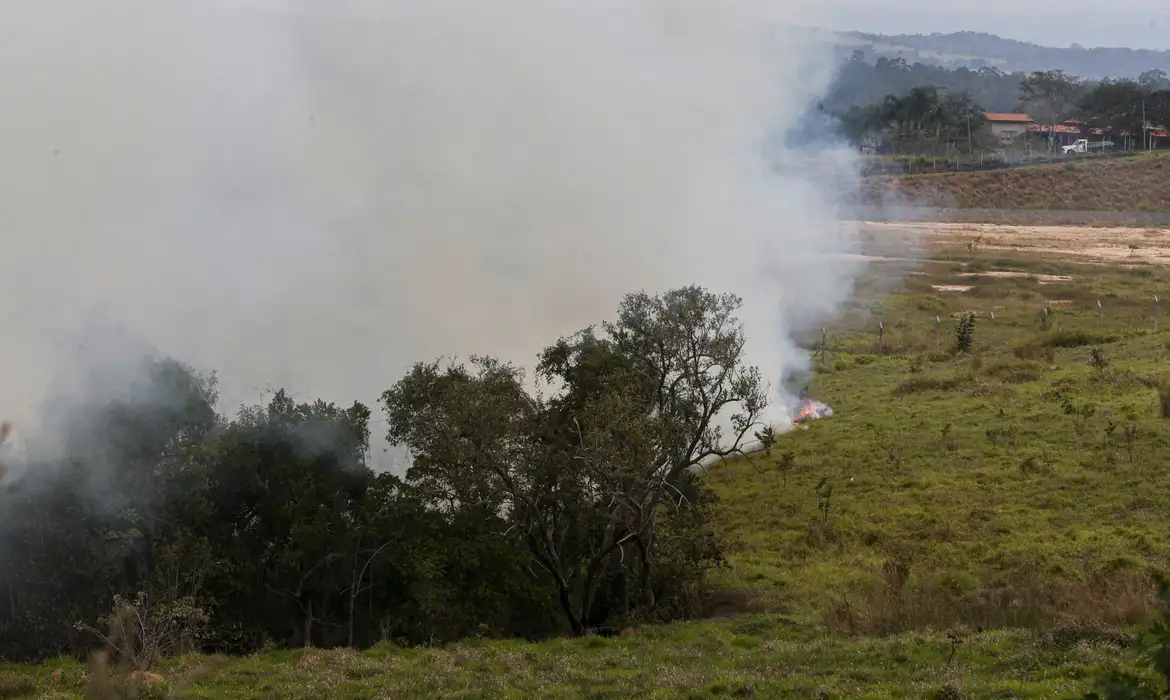 Fundo auxiliará produtores rurais atingidos por incêndios em SP -  (crédito: EBC)