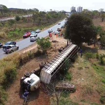 Motociclista morre atropelado por caminhão de gado em rodovia de Minas - Rede de Noticias