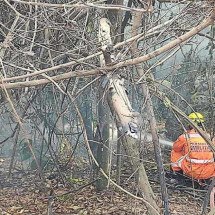 Quatro pontos de incêndios ainda preocupam em MG - CBMMG