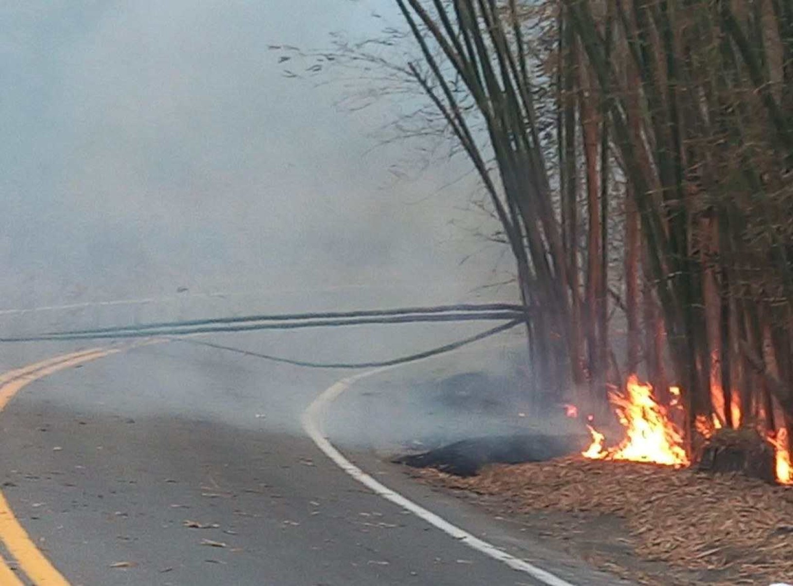 Homem é preso após atear fogo em vegetação às margens de rodovia de MG