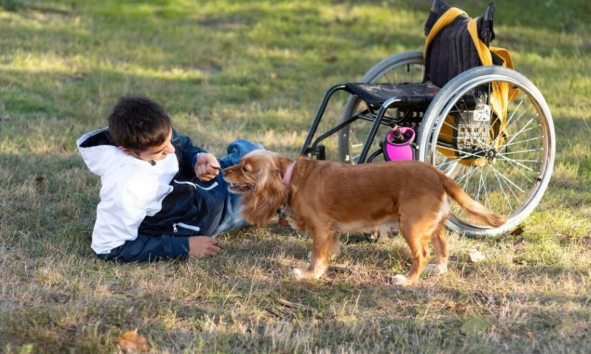 Os animais desempenham um papel fundamental na facilitação das interações sociais e oferecem um suporte essencial para quem tem alguma dificuldade -  (crédito: Freeík)