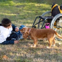 Pets contribuem para independência e felicidade de pessoas com deficiência - Freeík