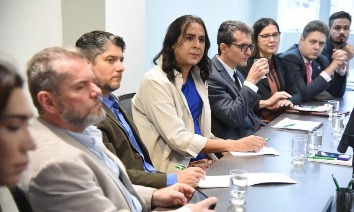 Duda Salabert se reuniu com Comitê Eleitoral de Entidades Representativas para discutir propostas para servidores públicos -  (crédito: Gladyston Rodrigues/EM/D.A. Press)