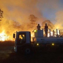 Concessionária registra, em 20 dias, 72 incêndios às margens da BR-040 - EPR Via Mineira