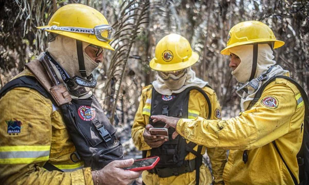 Além das brigadas de combate direto ao fogo, a portaria ainda prevê a contratação de equipes especializadas que atuam como uma "força de elite"  -  (crédito: Divulgação/Ibama)